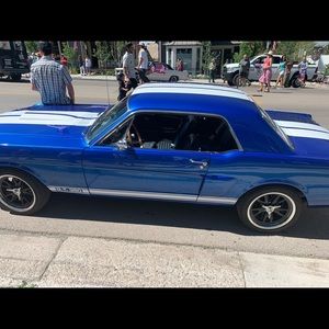 Meet your Posher, Cruz